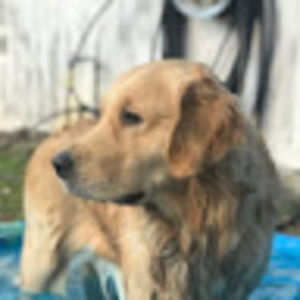 Meet your Posher, Valerie